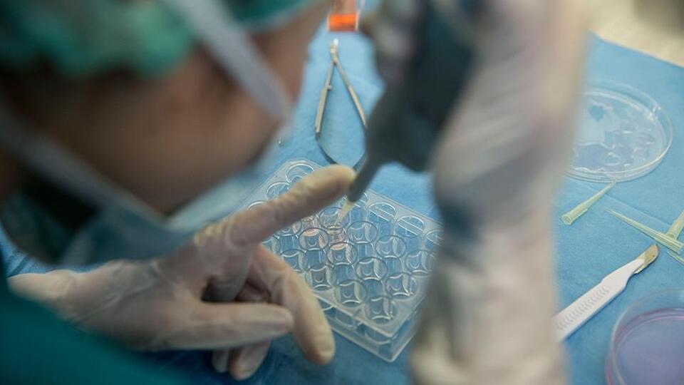 O hastalıkların yıllık maliyeti 70 milyar lira!