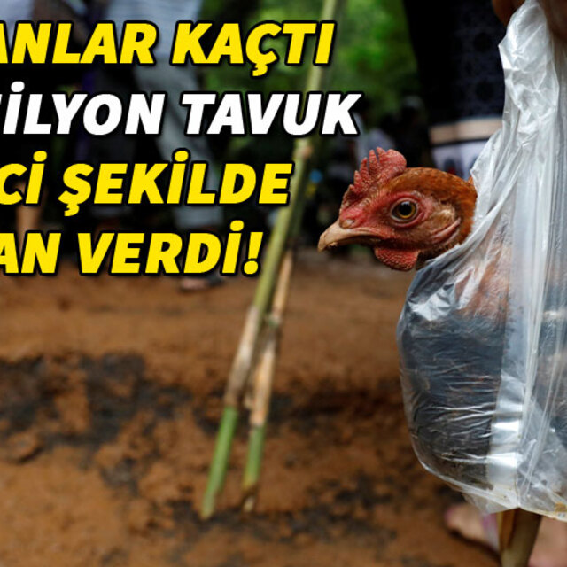Florence Kasırgası can almaya devam ediyor!