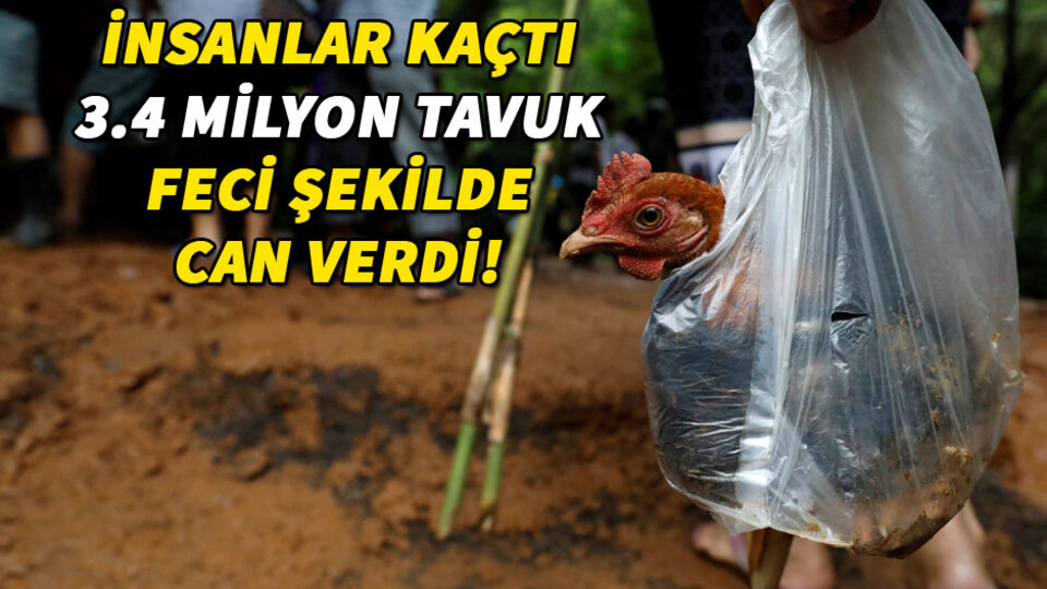 Florence Kasırgası can almaya devam ediyor!