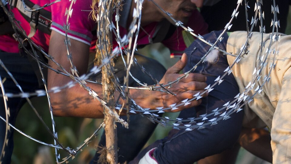 Avrupa'nın vicdanlı sessiz çoğunluğu