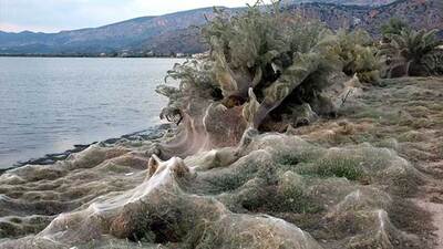 Yunanistan sahillerinde korkutan görüntü!