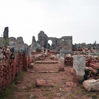 'Zeytinin merkezi' gün yüzüne çıkarıldı