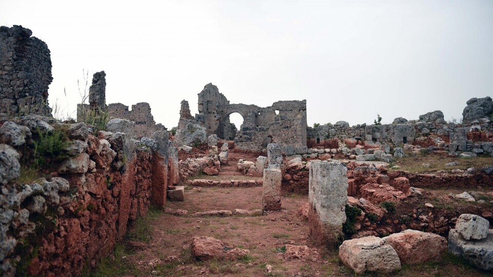 'Zeytinin merkezi' gün yüzüne çıkarıldı
