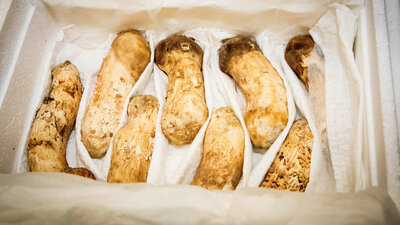 Kim'in hediyesinin fiyatı dudak uçuklattı!