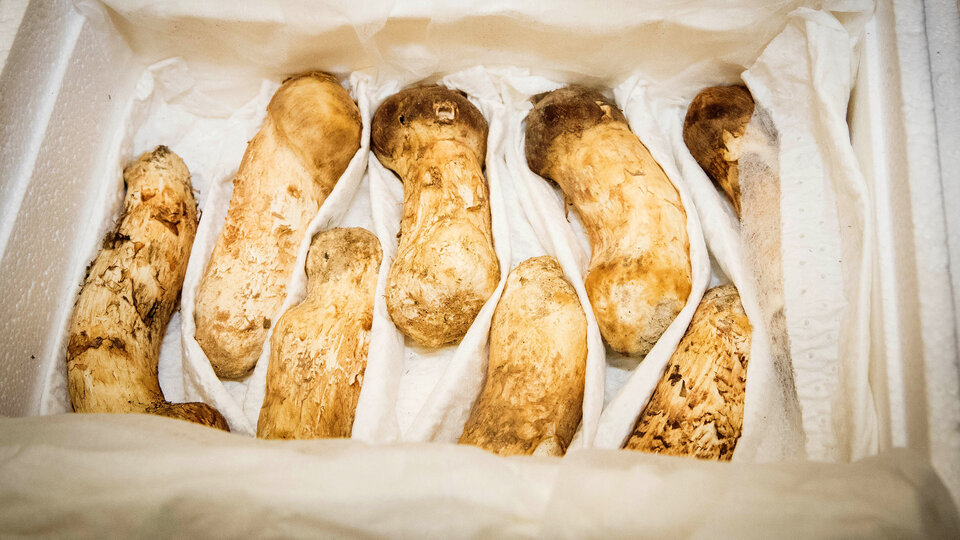 Kim'in hediyesinin fiyatı dudak uçuklattı!