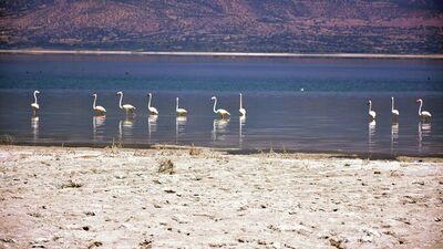 Burdur Gölü'nü öldürdük!