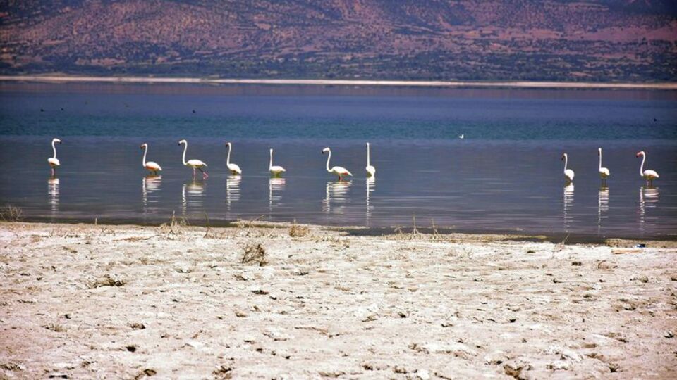Burdur Gölü'nü öldürdük!