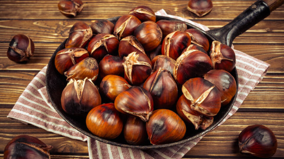 Griple savaşta doğal aşılar!