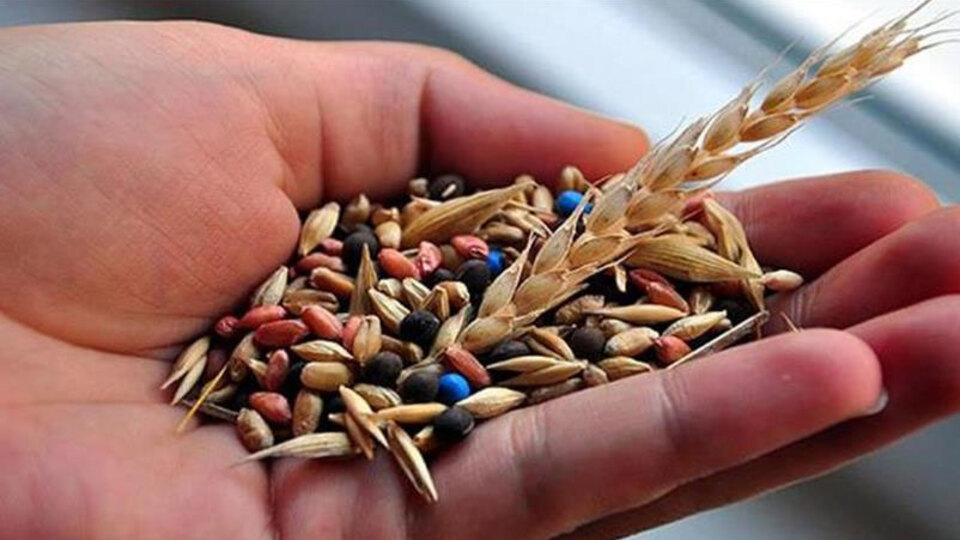 Yerli tohumlara 7 yeni çeşit eklendi