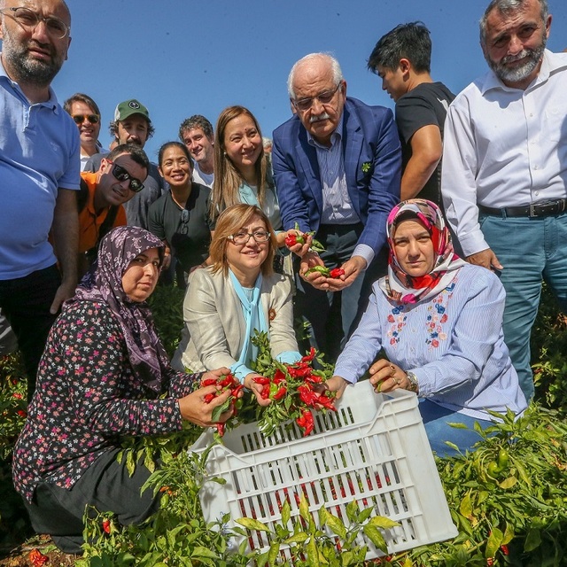 Gastroantep ile 3 günde 250 bin kişi lezzete doydu