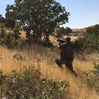 PKK'dan örgüte: Sıkıysa kendileri gelsin