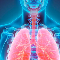 Bu aktivite sırasında kalp krizi riski çok düşük!