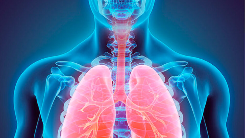 Bu aktivite sırasında kalp krizi riski çok düşük!