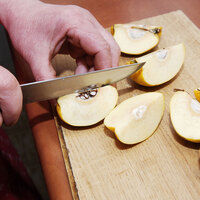 Artık ayvayı yemeyen kalmayacak!