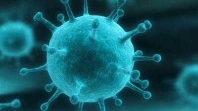 Rota virüsü nedir?