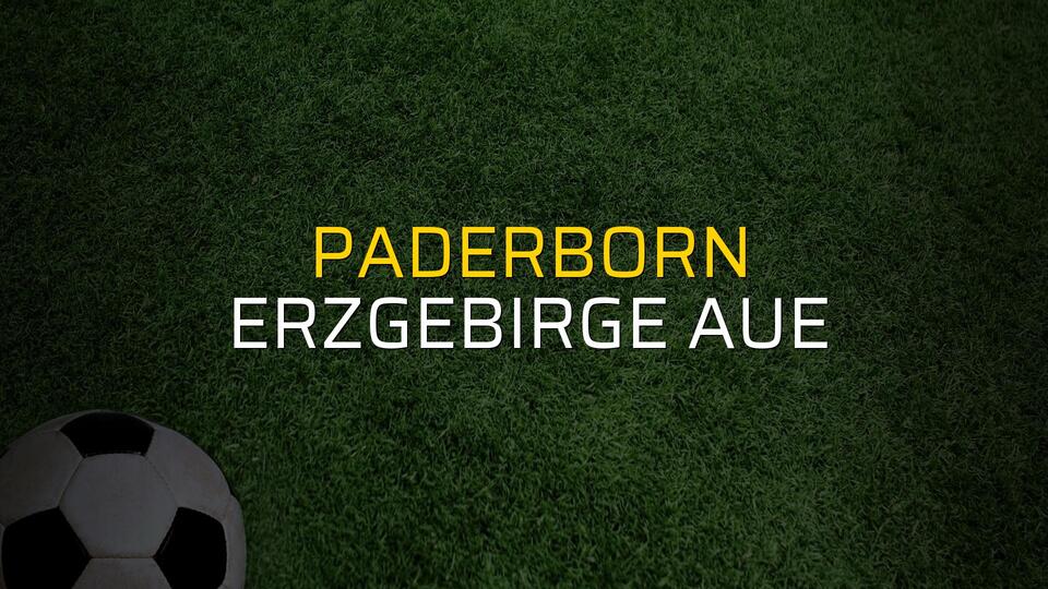 Paderborn - Erzgebirge Aue sahaya çıkıyor