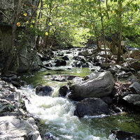 "Cenneti görmek için ölmek gerekmiyor" Sonbaharda tadı başka