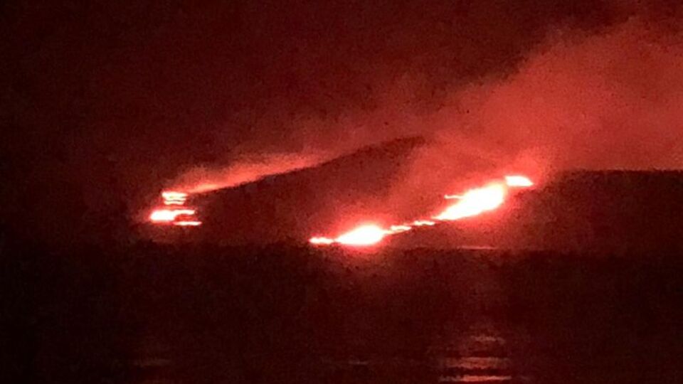 30 hektarlık makilik alan kül oldu