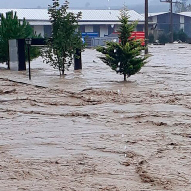 Sakarya'yı sel vurdu! Kaynarca Belediye Başkanı: Durum vahim
