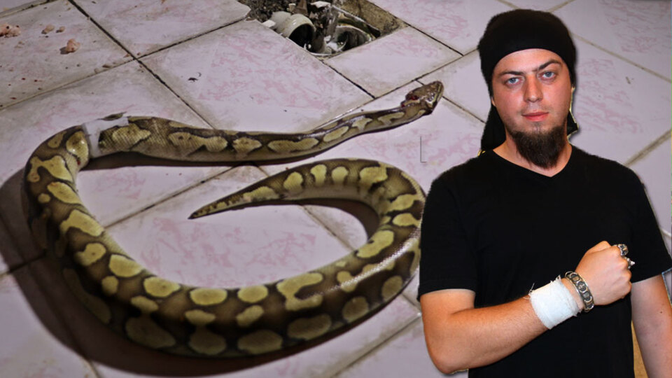 Aref'le ilgili şok iddia! Evin giderinden çıkan piton...