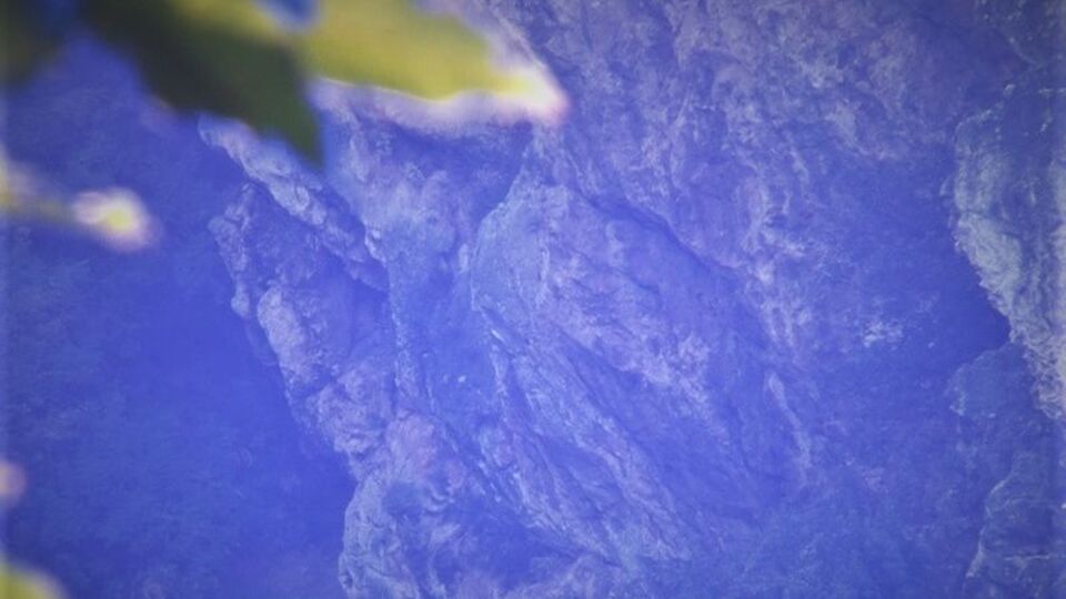 Uludağ'da hayrete düşüren görüntü!