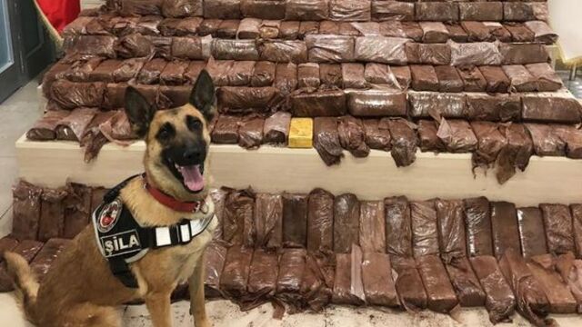 Van'da 141,7 kilogram eroin ele geçirildi