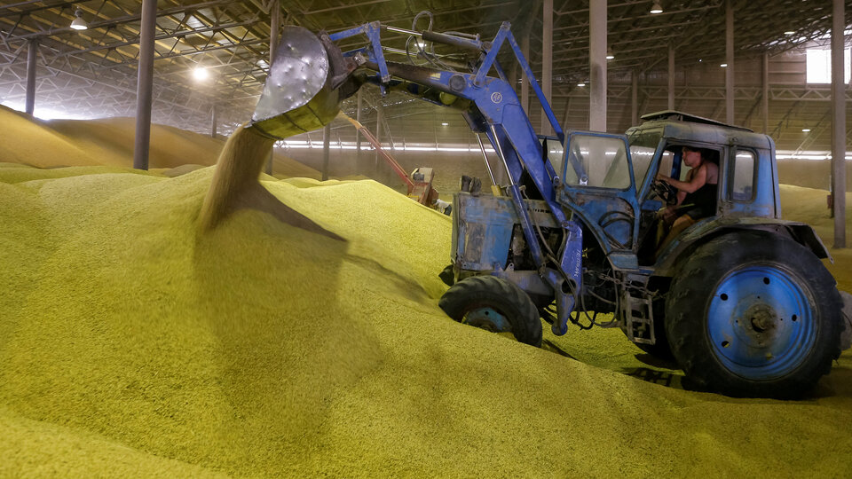 Türkiye, ilk kez ruble ile buğday ithal edecek