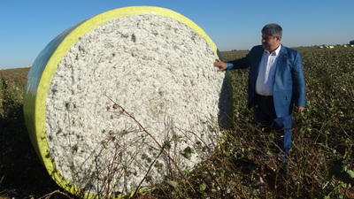 Pamuk için fiyat uyarısı