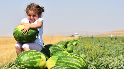 İstanbul'un zam şampiyonu karpuz oldu