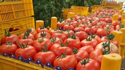 Eylül ayının zam şampiyonu açıklandı