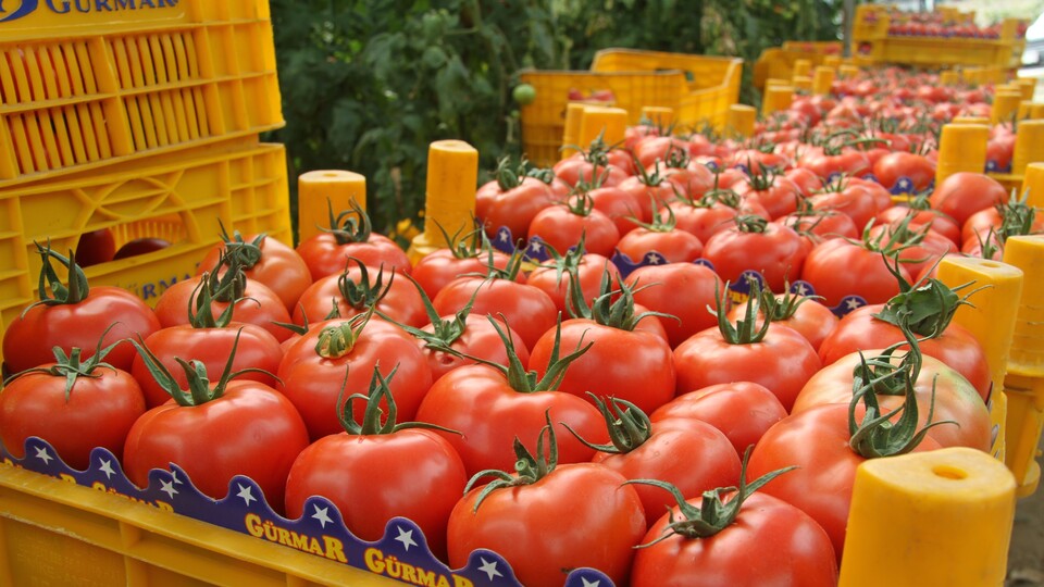 Eylül ayının zam şampiyonu açıklandı