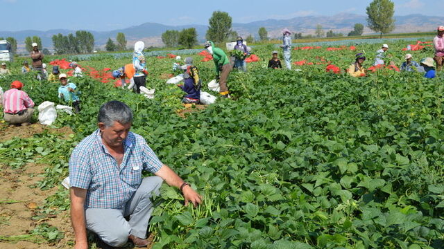 Tarımın sigortası uydudan