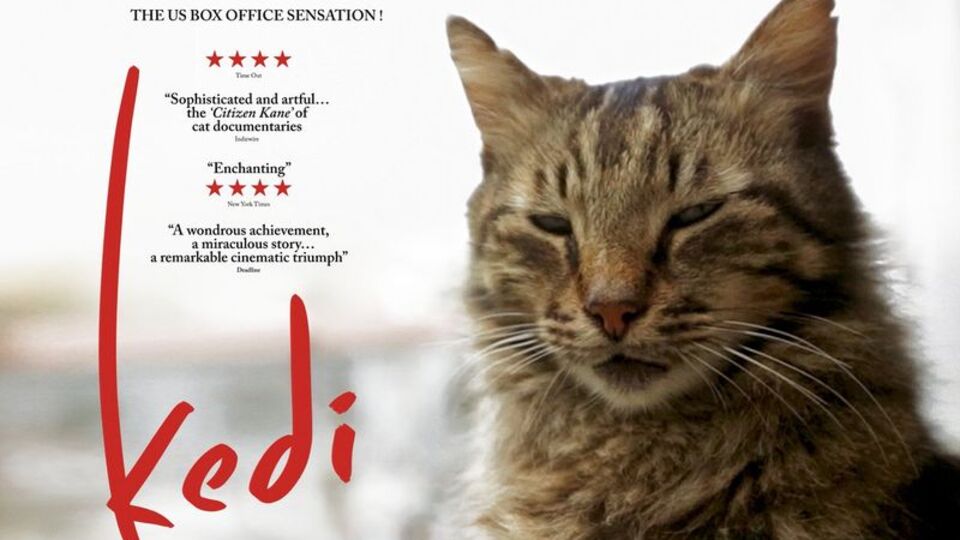 Mama getiren ücretsiz film seyredecek