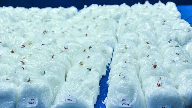 Çin'de 8 ayda 8,5 ton uyuşturucu ele geçirildi