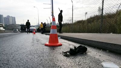 TEM'de 'kedi'li zincirleme kazası!