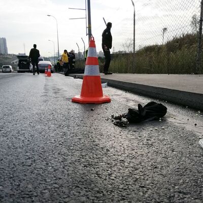 TEM'de 'kedi'li zincirleme kazası!