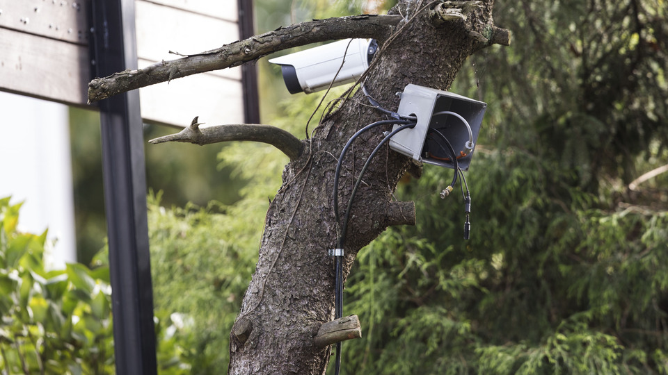 Pensilvanya'daki FETÖ kampında kameralar bozuk çıktı!