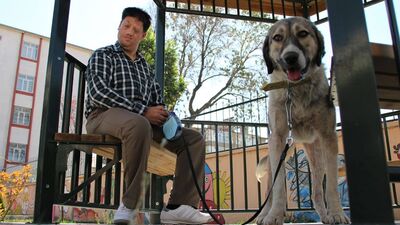 O köpekten güzel haber var!