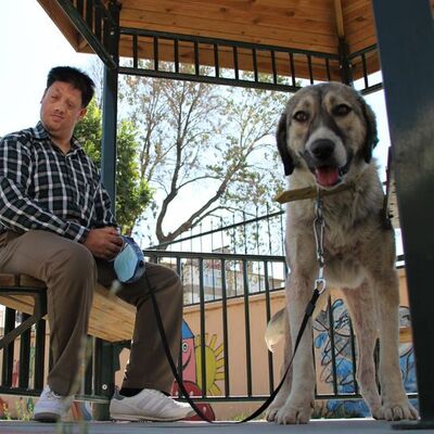 O köpekten güzel haber var!