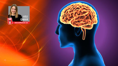 İnsanın ikinci beyni bağırsak!