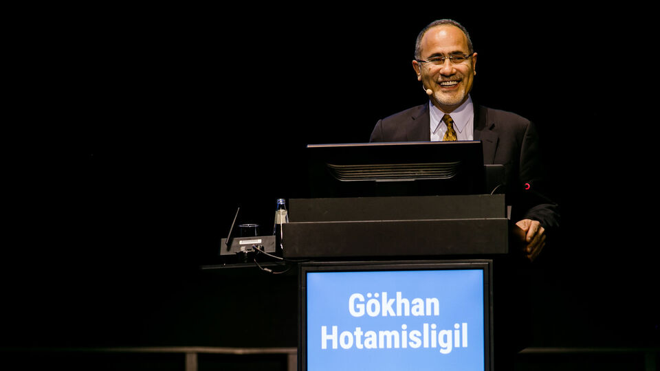 Prof. Dr. Gökhan Hotamışlıgil, 'Diyabet Mükemmeliyet Ödülü'nü aldı