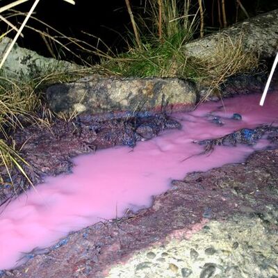 Bakan açıkladı! Tüm faaliyetleri durduruldu