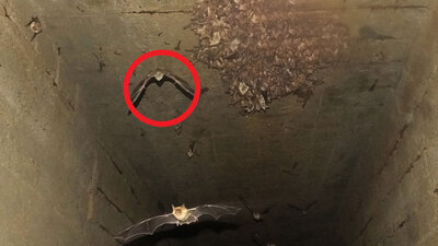 İran'da başladı, şimdi Türkiye'de görülüyor!