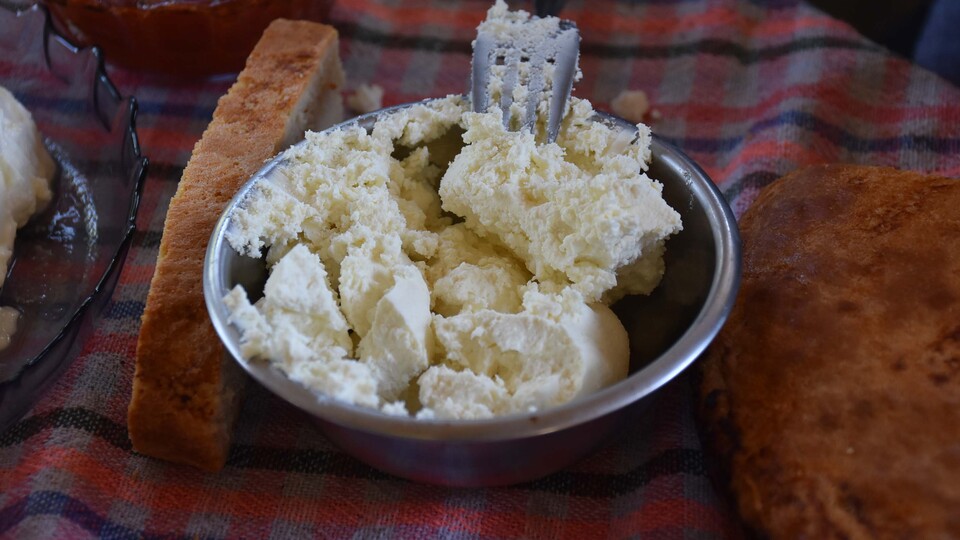 Evde peynir nasıl yapılır?