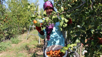 Rüyada duyduğu sesle hayatı değişti