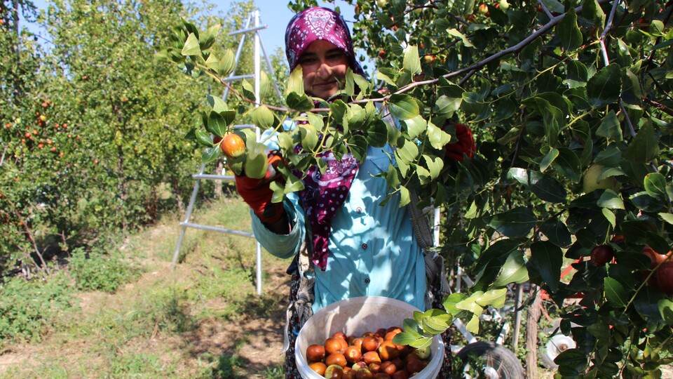 Rüyada duyduğu sesle hayatı değişti