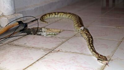 Burun buruna gelmişlerdi! Cezası belli oldu