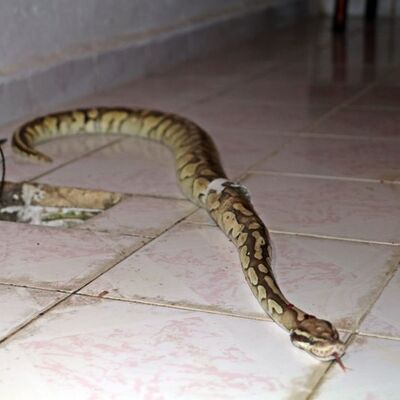 Burun buruna gelmişlerdi! Cezası belli oldu