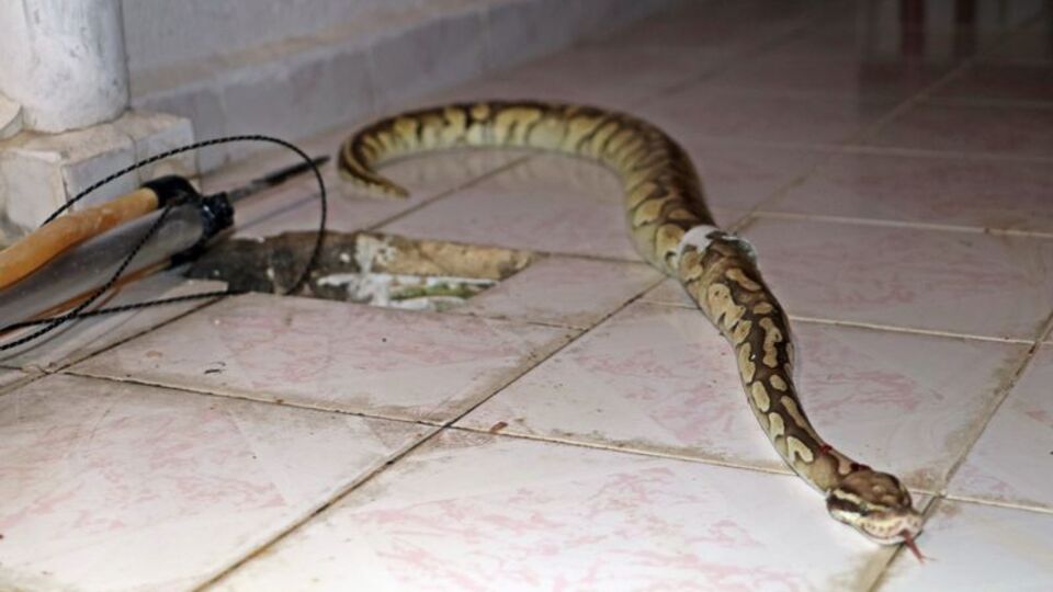 Burun buruna gelmişlerdi! Cezası belli oldu