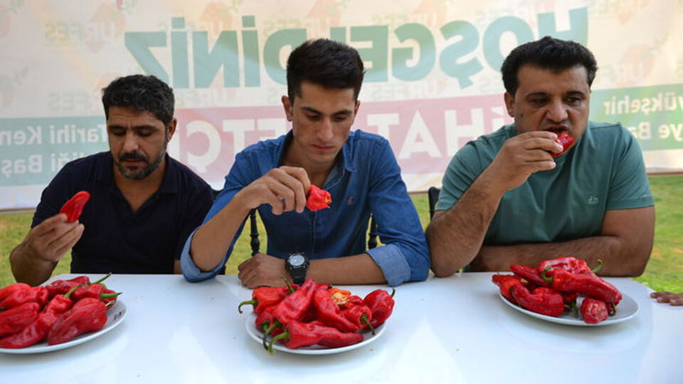 Acıya meydan okudular! 5 dakikada...